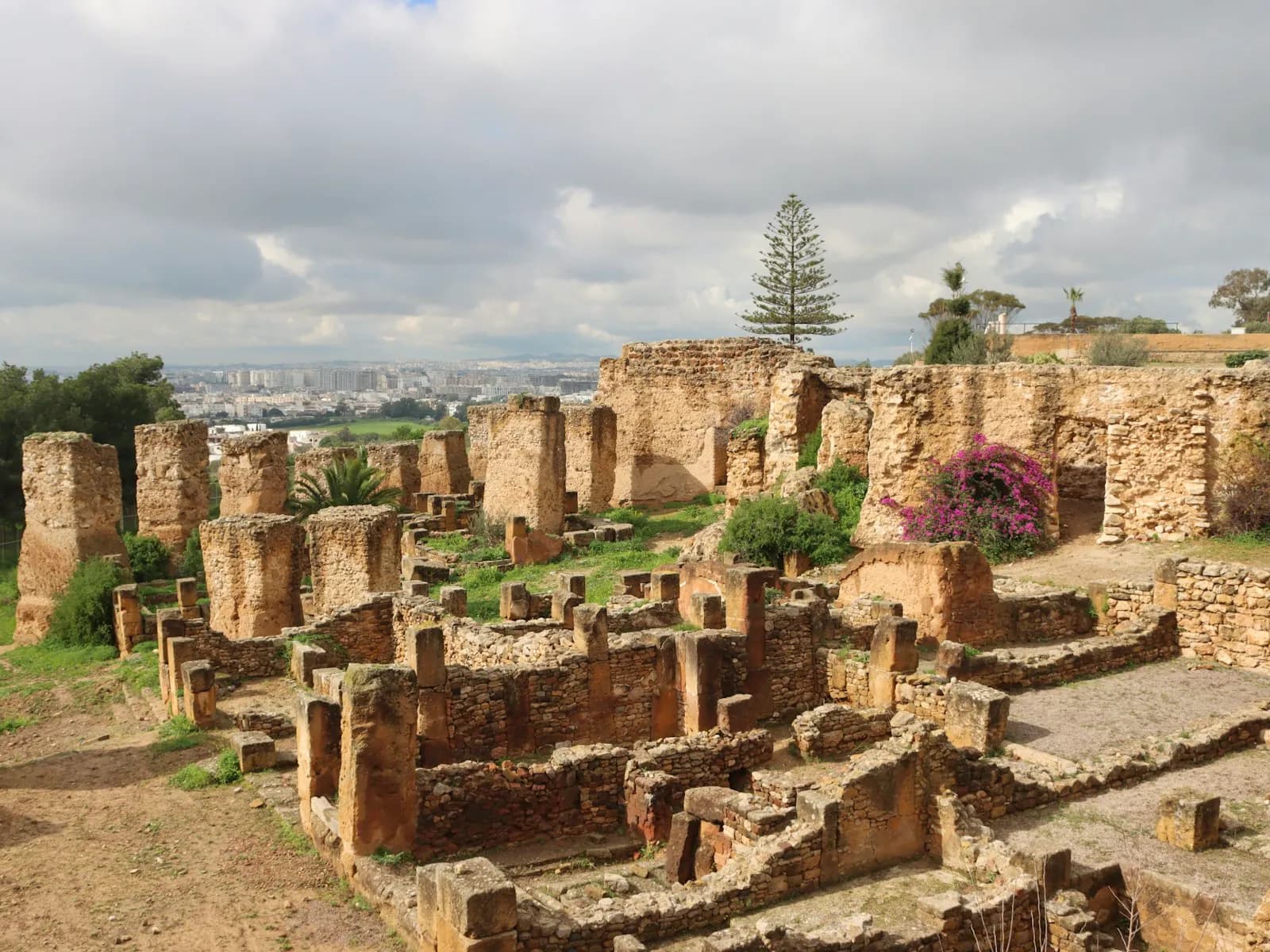 Ruins of Roman houses in Carthage among cypress and bougainvillea