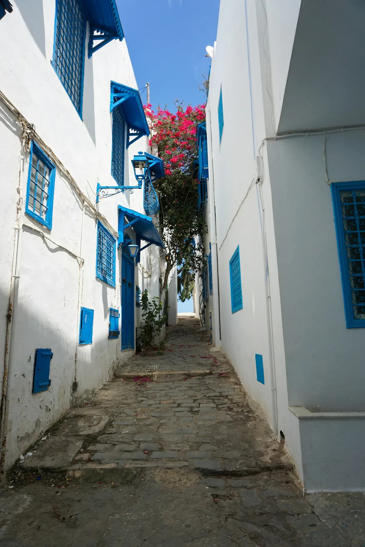 A quiet lane of white houses and blue doors in Sidi Bou Said